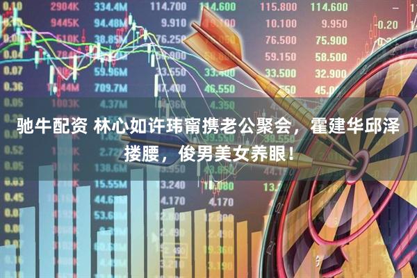 驰牛配资 林心如许玮甯携老公聚会，霍建华邱泽搂腰，俊男美女养眼！