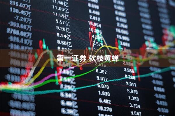 第一证券 软枝黄蝉