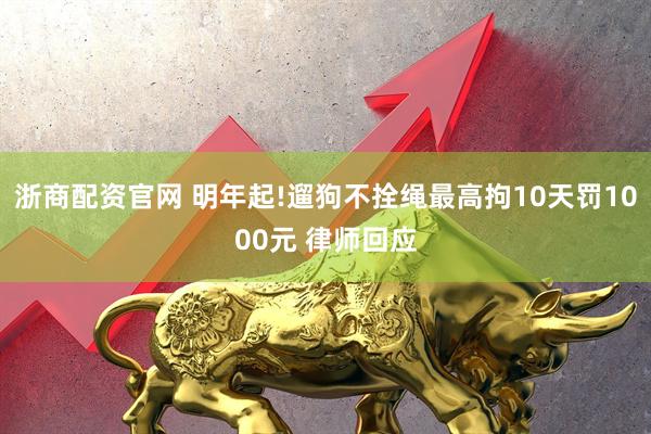 浙商配资官网 明年起!遛狗不拴绳最高拘10天罚1000元 律师回应